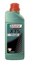Масло моторное синтетическое Greentec XTS 2T , 1л